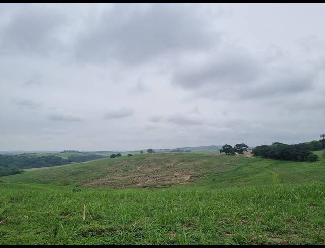 80,000M² VACANT LAND FOR SALE IN SHAKASKRAAL
